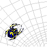 spider.gif